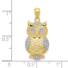 Load image into Gallery viewer, 10K &amp; Rhodium Polished &amp; Textured Owl Pendant
