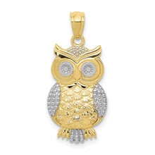 Load image into Gallery viewer, 10K &amp; Rhodium Polished &amp; Textured Owl Pendant
