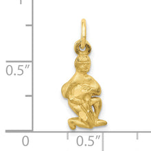 Load image into Gallery viewer, 10k Aquarius Zodiac Charm
