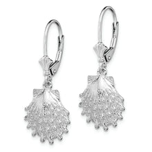 Load image into Gallery viewer, Sterling Silver Polished Lions Paw Shell Leverback Earrings
